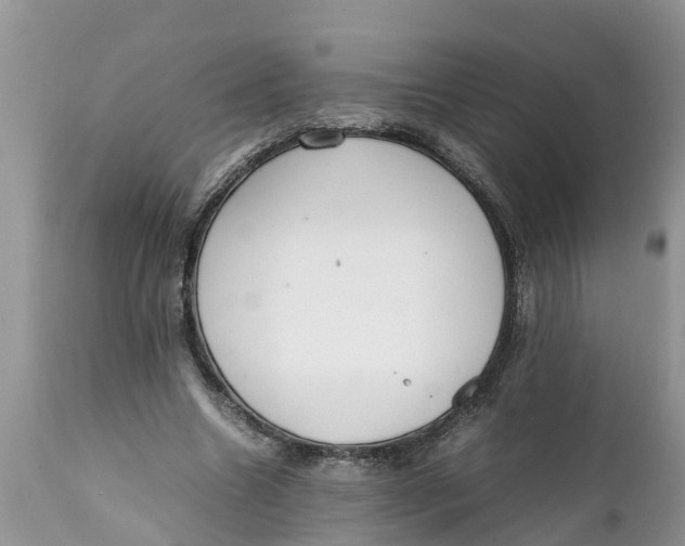 X0000111920538200908171326