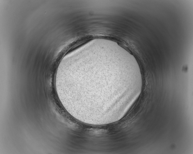 X0000111920539200908171326