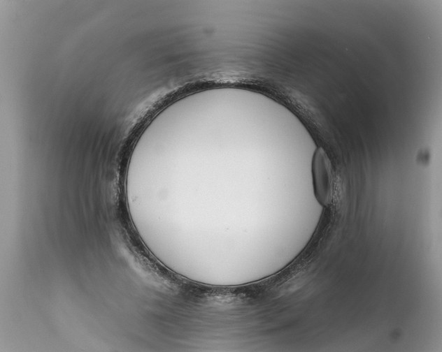 X0000111920540200908171326