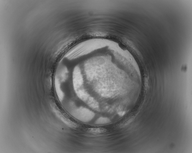 X0000111920541200908171326