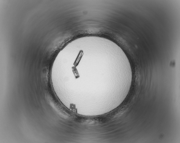 X0000111920542200908171326