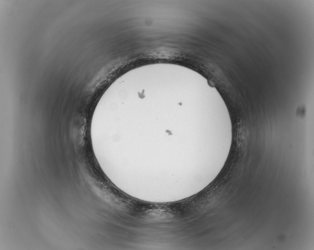 X0000111920544200908171327