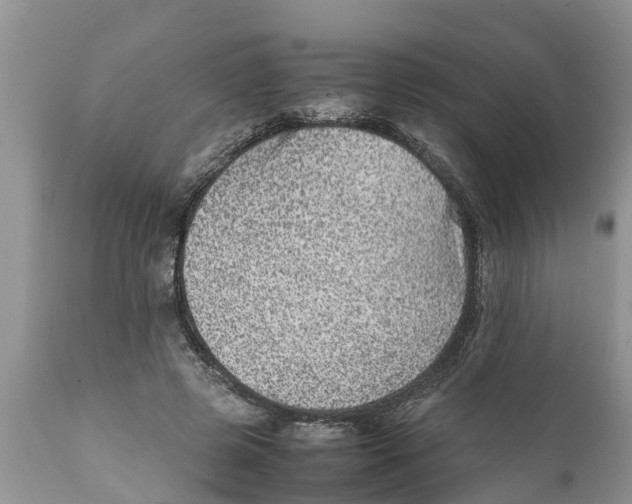 X0000111920545200908171327