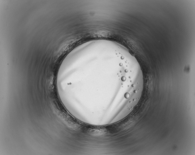 X0000111920548200908171327