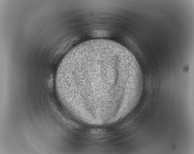 X0000111920549200908171327