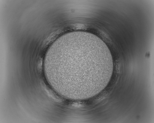 X0000111920550200908171327