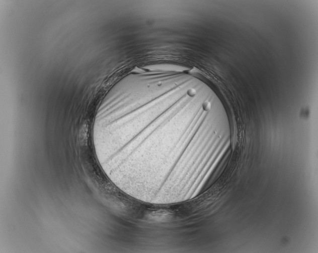 X0000111920551200908171327