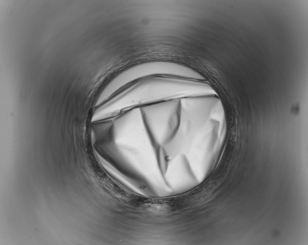 X0000111920552200908171327