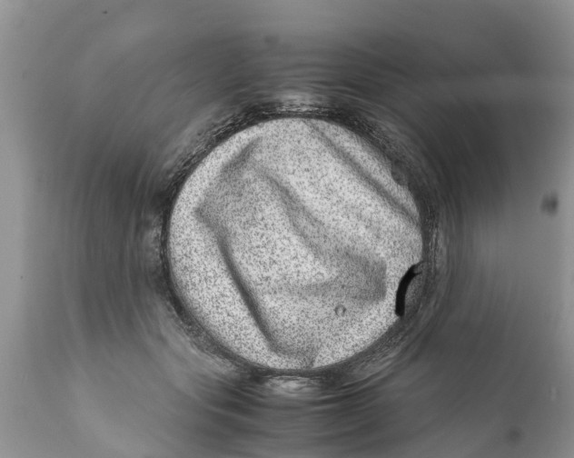 X0000111920557200908171327