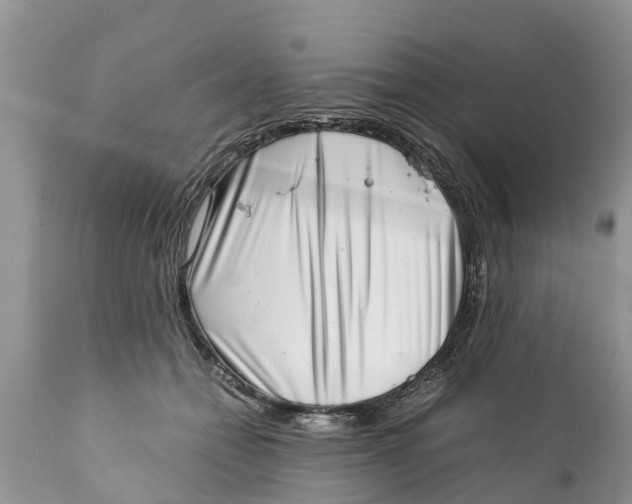 X0000111920558200908171327