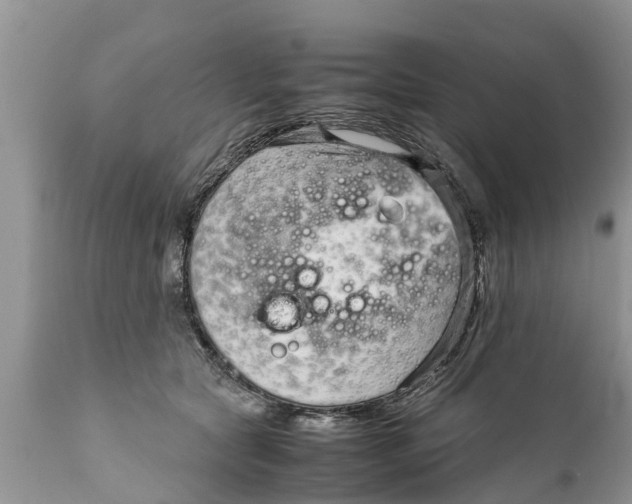 X0000111920561200908171327