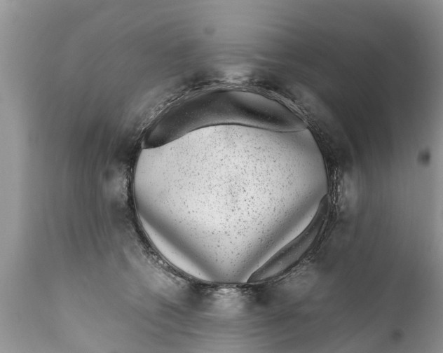 X0000111920562200908171327