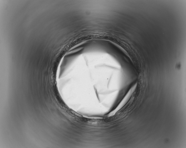 X0000111920564200908171327