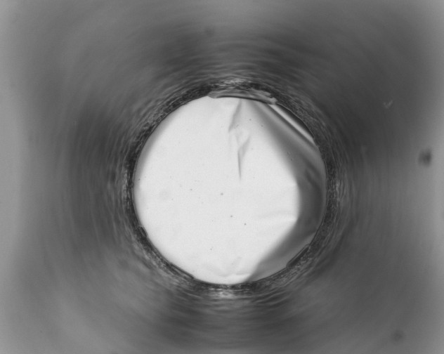 X0000111920565200908171327