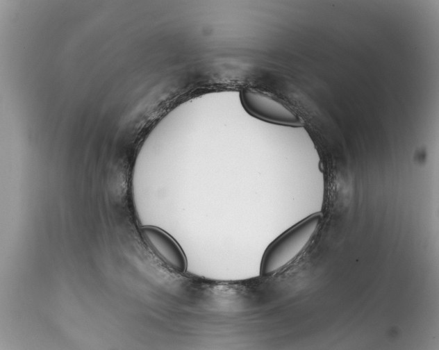 X0000111920566200908171327