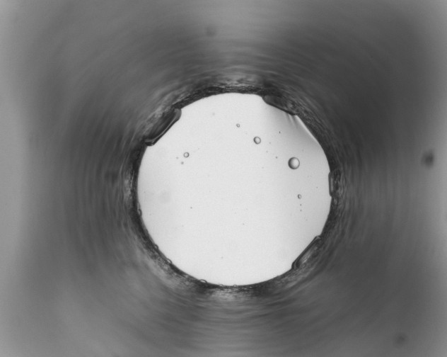 X0000111920568200908171327