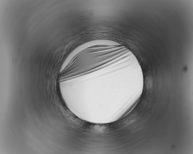 X0000111920570200908171327