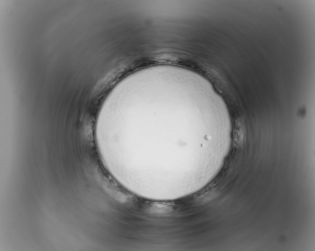 X0000111920573200908171327