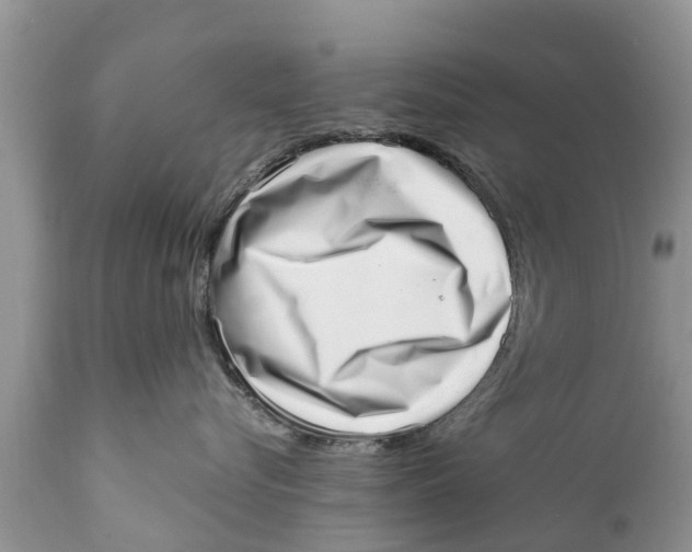 X0000111920576200908171327