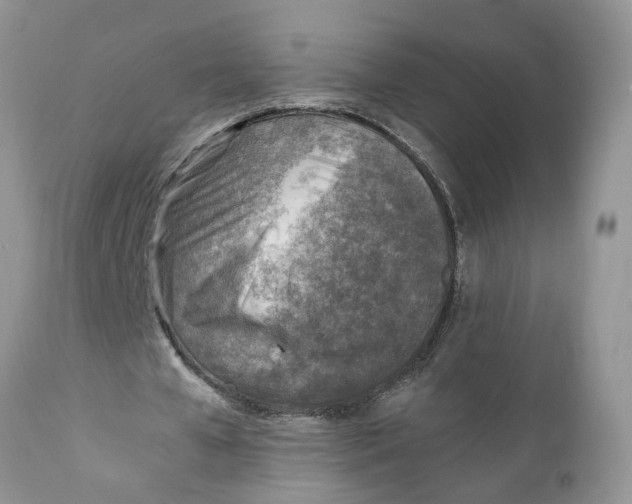 X0000111920577200908171326