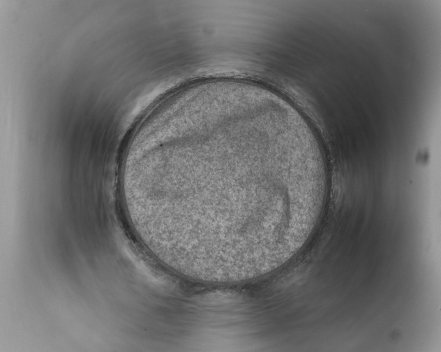 X0000111920578200908171326