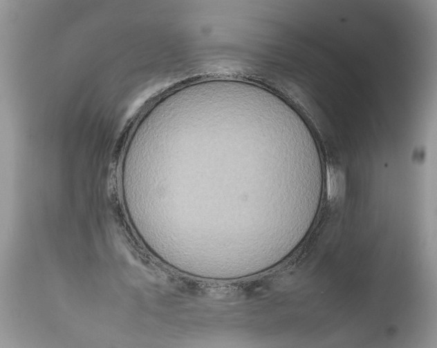 X0000111920579200908171326