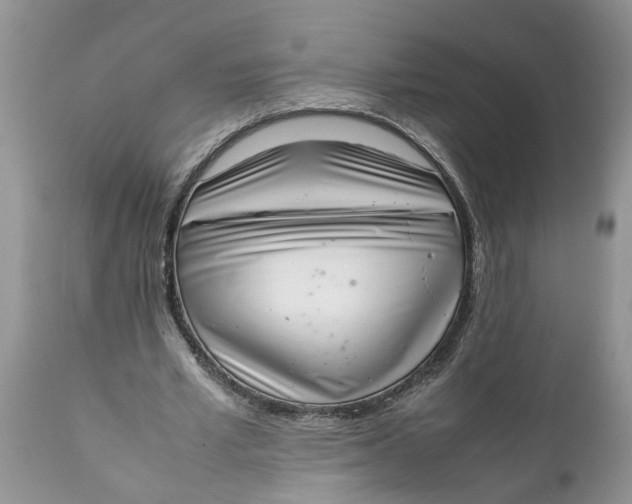 X0000111920581200908171326