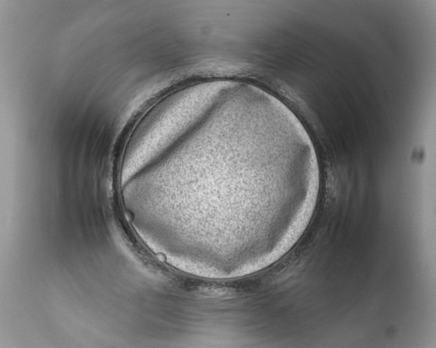 X0000111920582200908171326