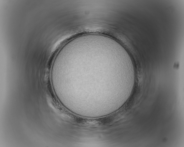 X0000111920583200908171326