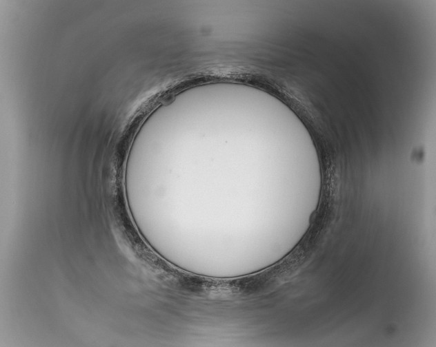 X0000111920587200908171326