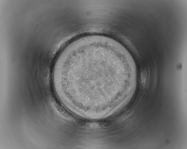 X0000111920588200908171326