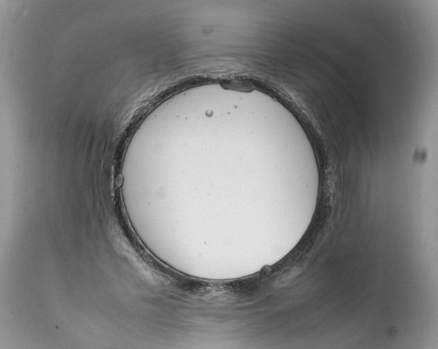 X0000111920589200908171326