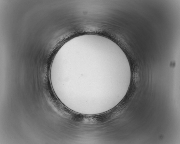 X0000111920591200908171326