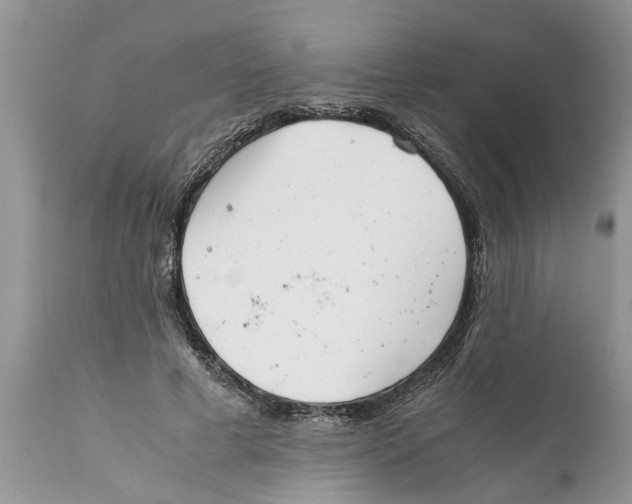 X0000111920593200908171326