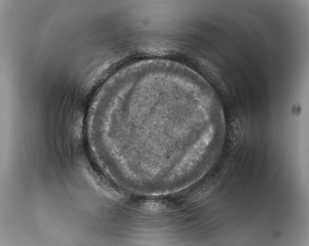 X0000111920596200908171326