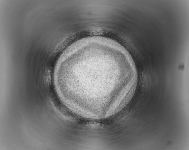 X0000111920598200908171326