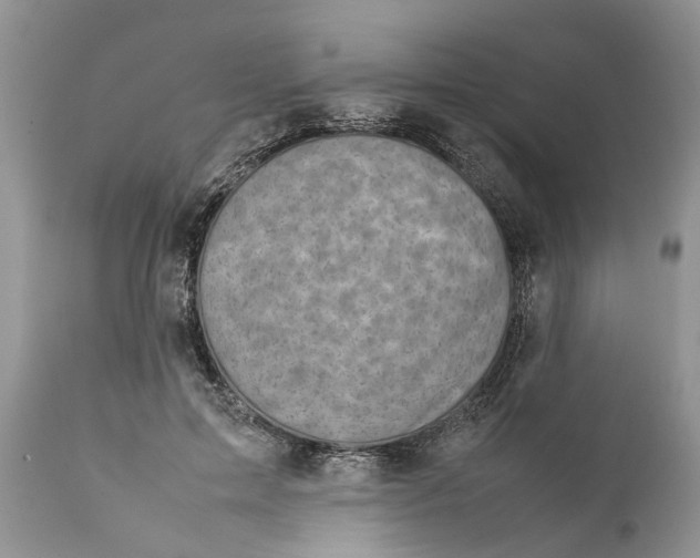 X0000111920599200908171326