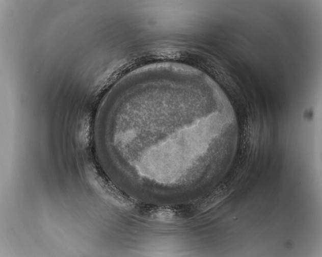 X0000111920600200908171326