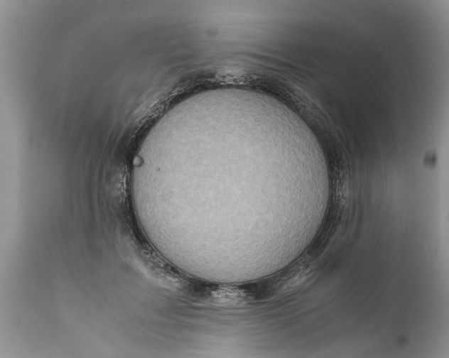 X0000111920603200908171326