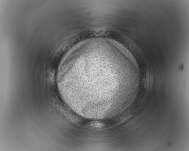 X0000111920610200908171326