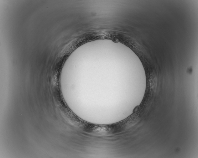 X0000111920611200908171326