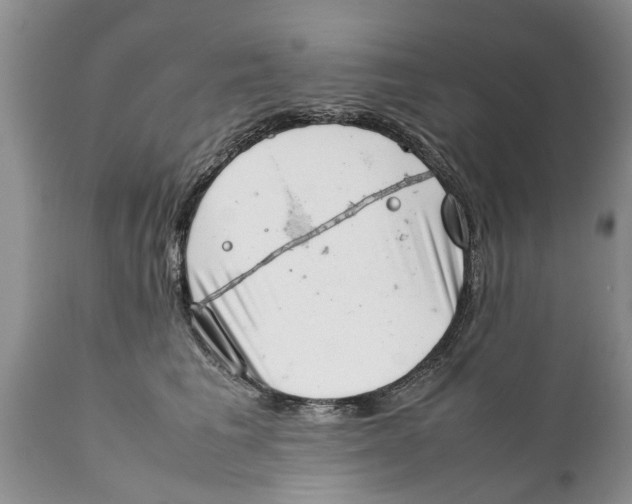 X0000111920613200908171326