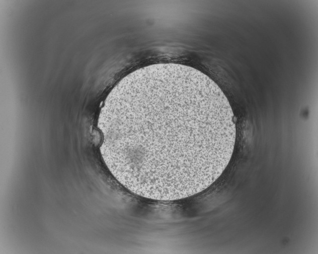 X0000111920615200908171326