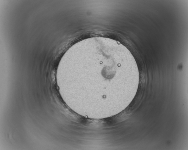 X0000111920621200908171326