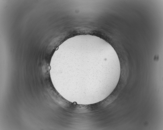 X0000111920624200908171326