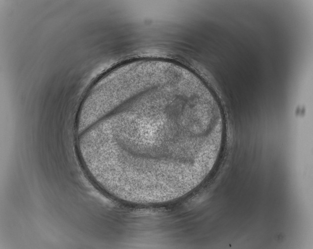 X0000111920625200908171325