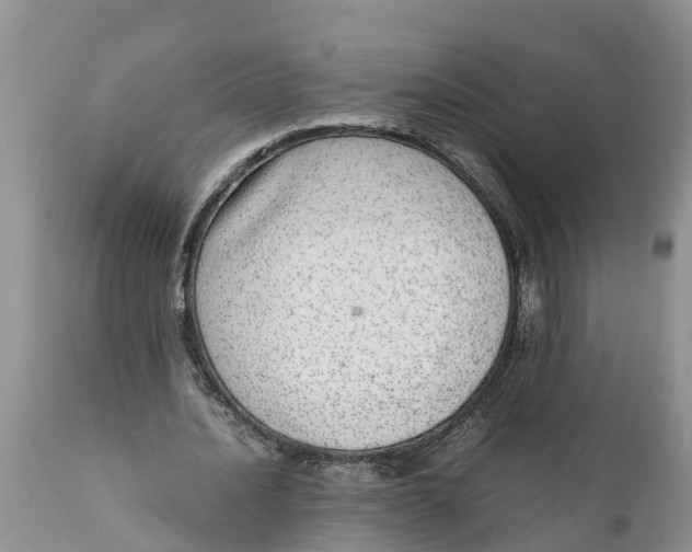 X0000111920628200908171325