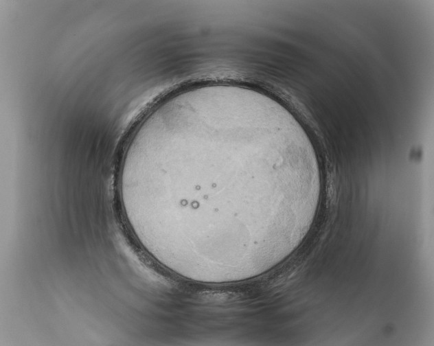 X0000111920629200908171325