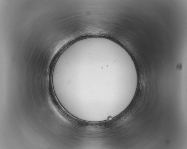 X0000111920630200908171325