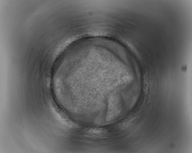 X0000111920631200908171325